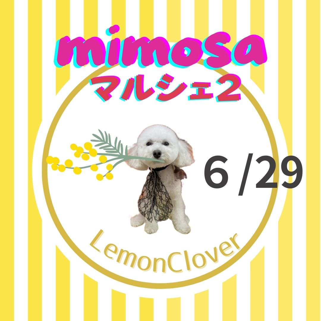 mimosaマルシェ２　２９日（土）のご案内