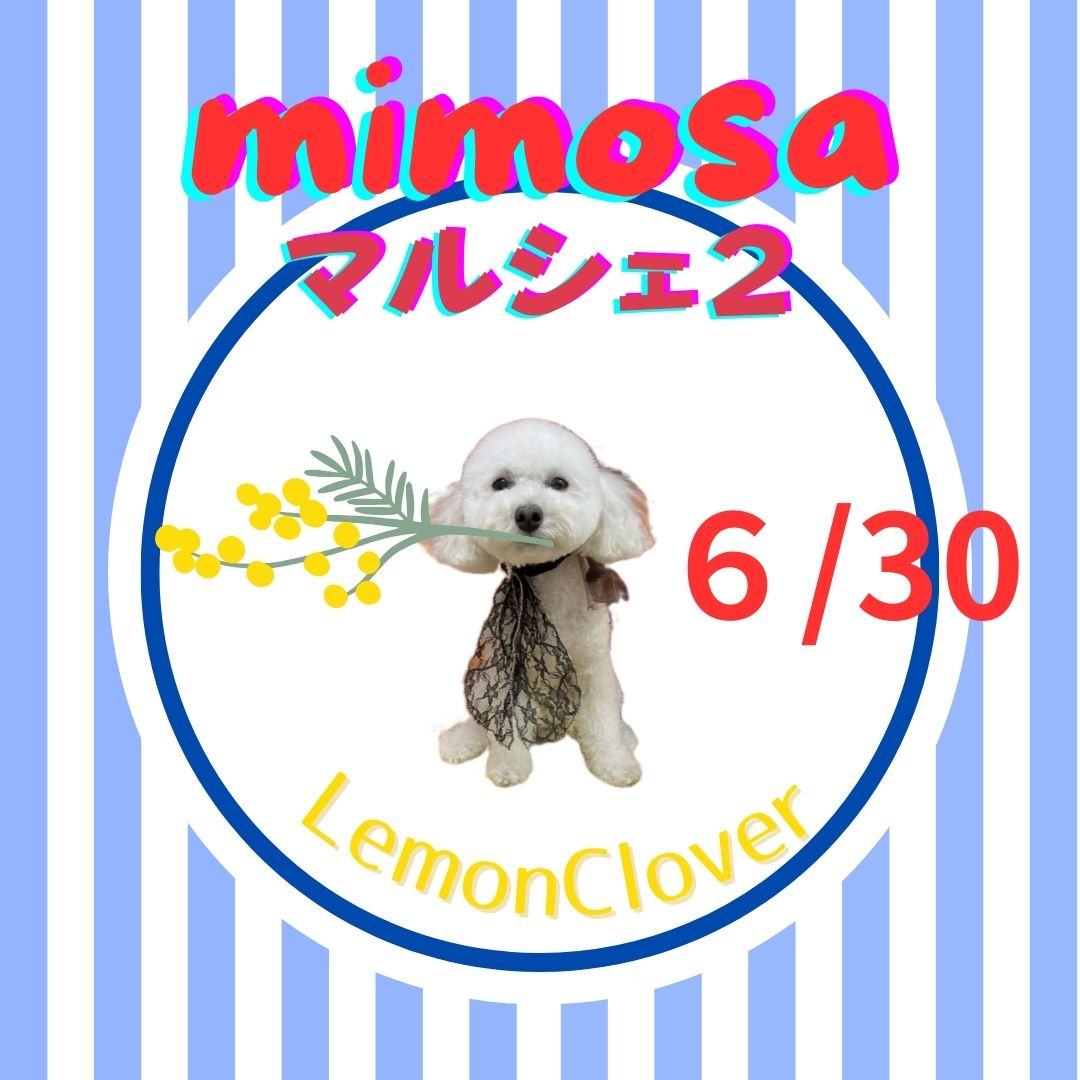 mimosaマルシェ２　６月３０日（日）のご案内