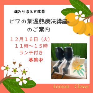 Read more about the article ビワの葉温灸