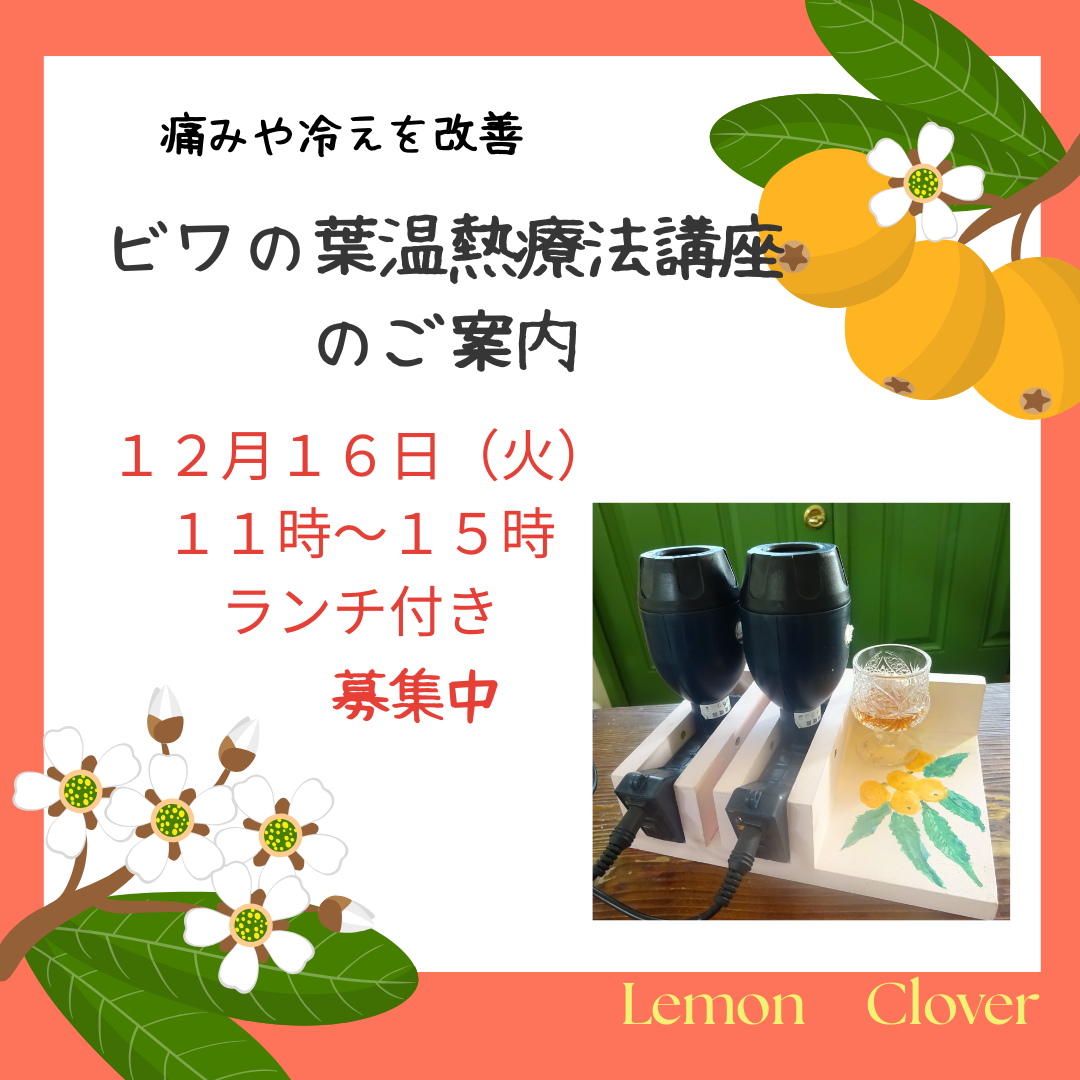 Read more about the article ビワの葉温灸